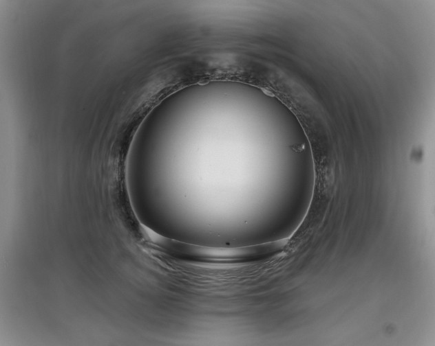 X0000097870756200803141258