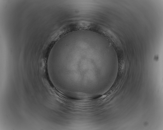 X0000097870759200803141258