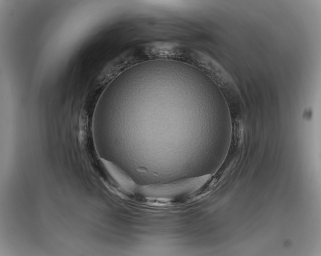X0000097870760200803141258