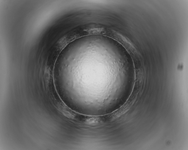 X0000097870761200803141258