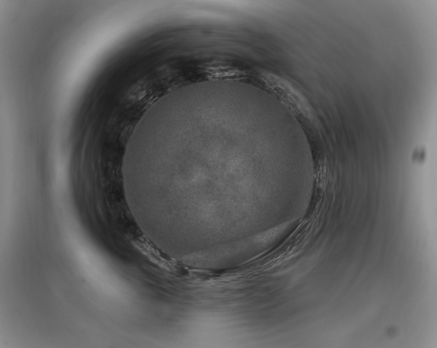 X0000097870763200803141258