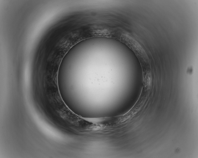 X0000097870764200803141258
