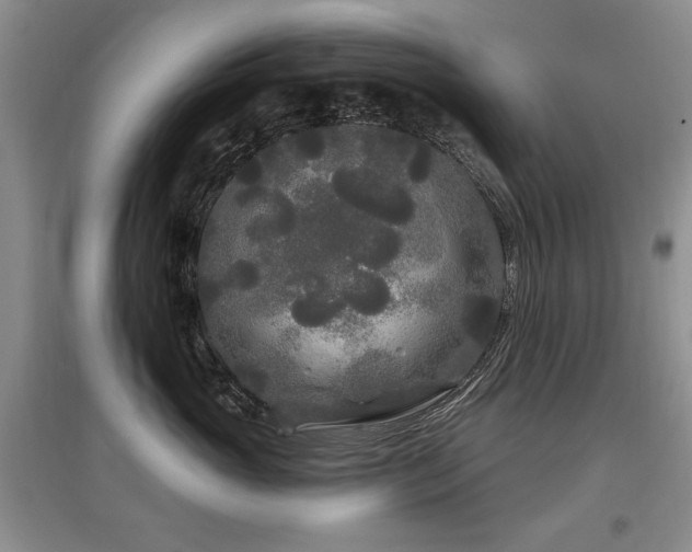 X0000097870765200803141258
