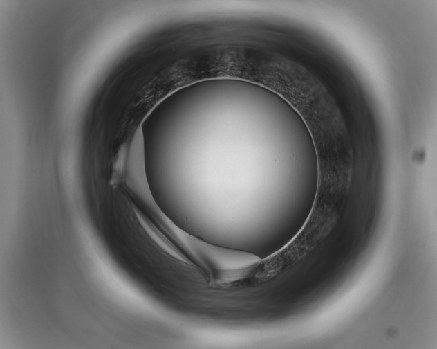 X0000097870766200803141258