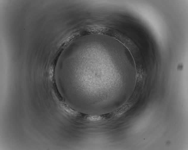 X0000097870767200803141258