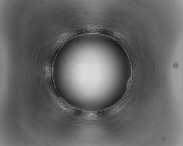X0000097870768200803141258
