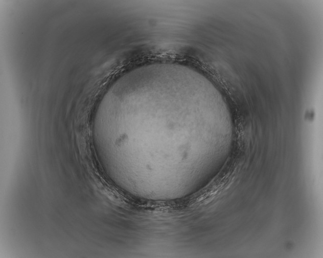 X0000097870769200803141257