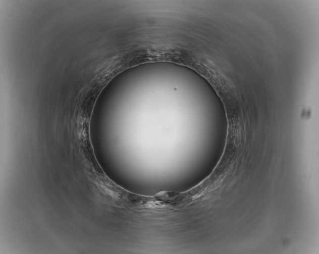 X0000097870770200803141257