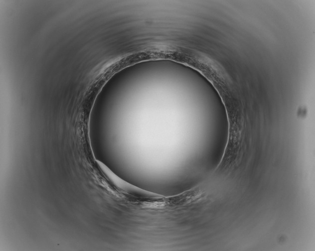 X0000097870773200803141257