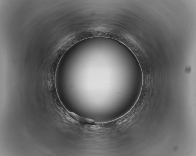 X0000097870774200803141257