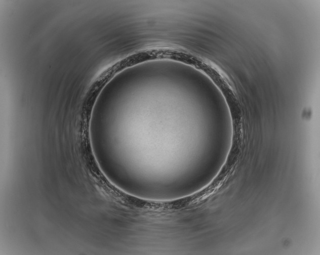 X0000097870775200803141257