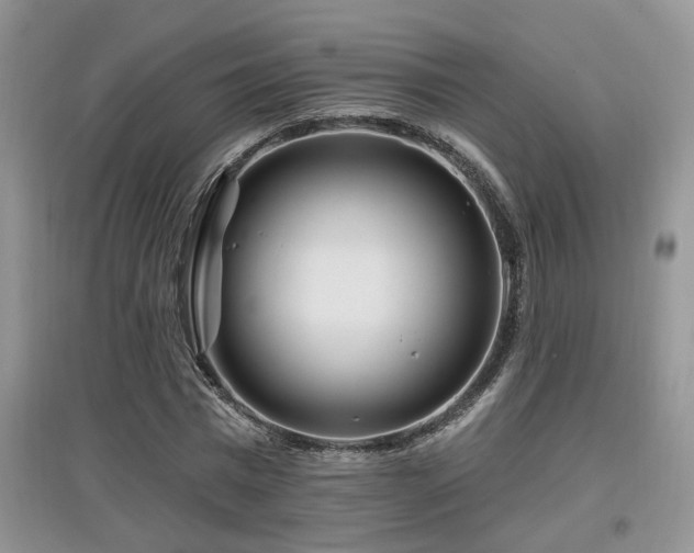 X0000097870777200803141257