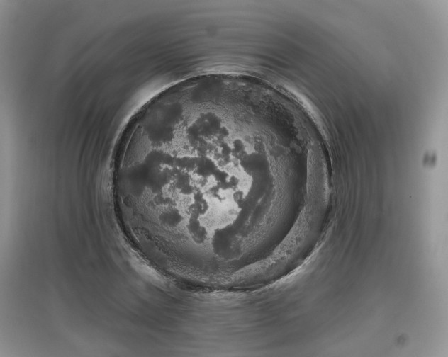 X0000097870779200803141257