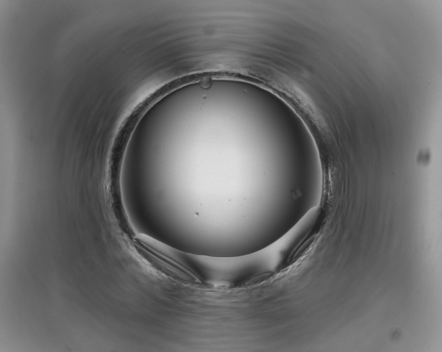 X0000097870780200803141257