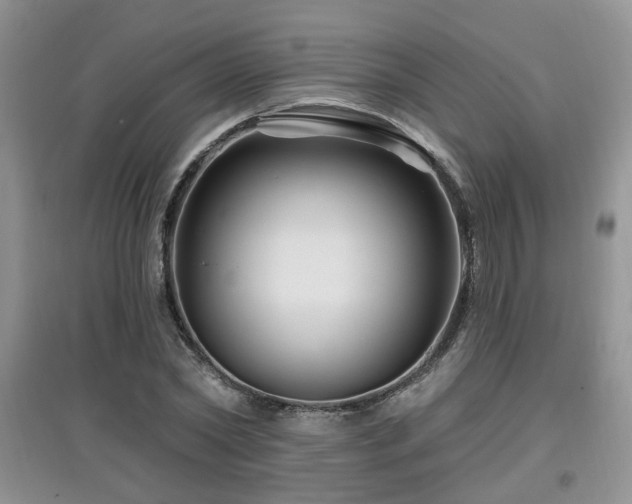 X0000097870782200803141257