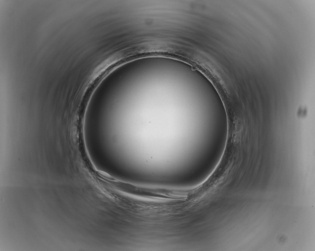 X0000097870786200803141257