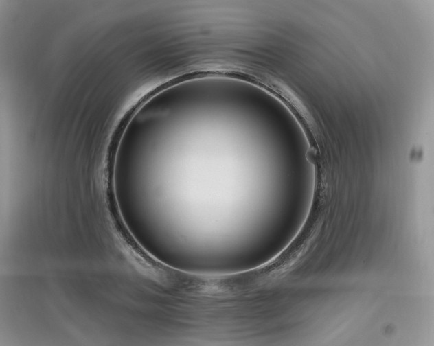 X0000097870787200803141257