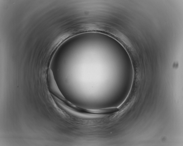 X0000097870793200803141257