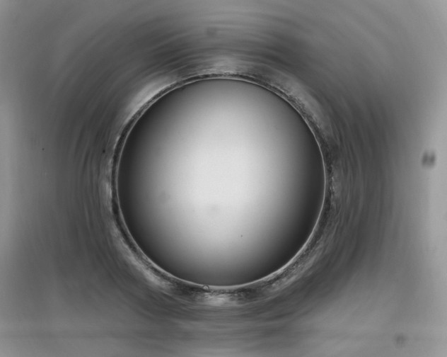 X0000097870794200803141257