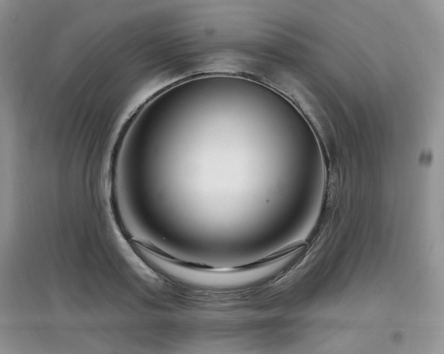 X0000097870795200803141257