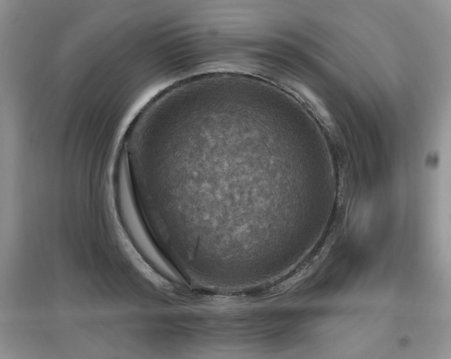 X0000097870796200803141257