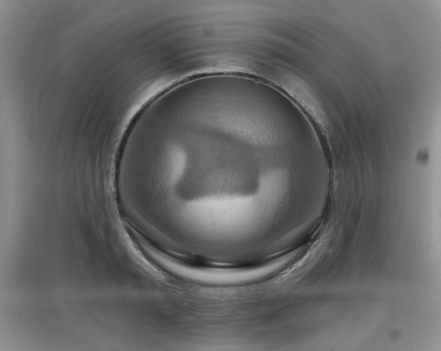 X0000097870797200803141257