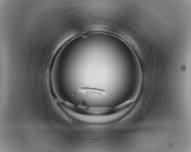 X0000097870798200803141257