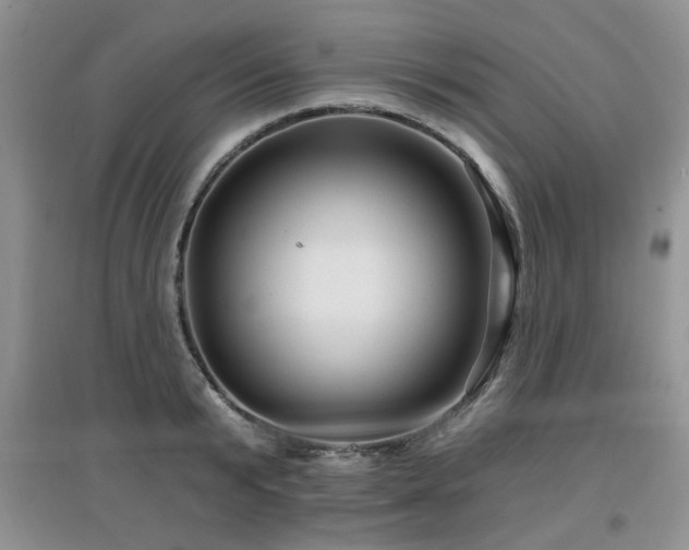 X0000097870799200803141257
