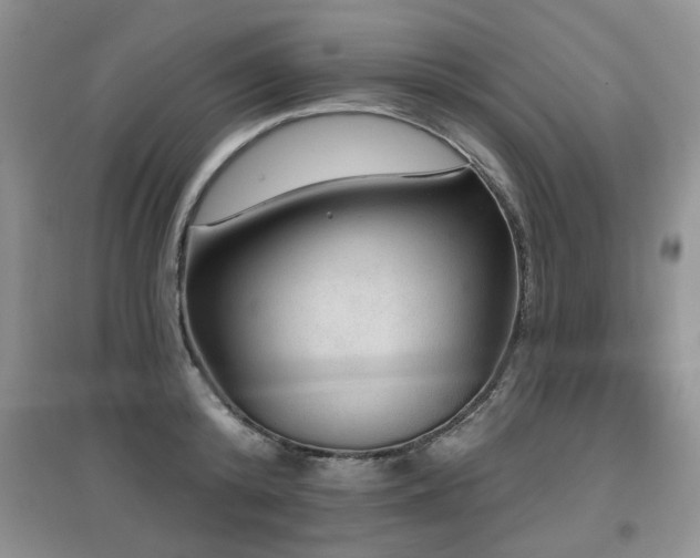 X0000097870800200803141257