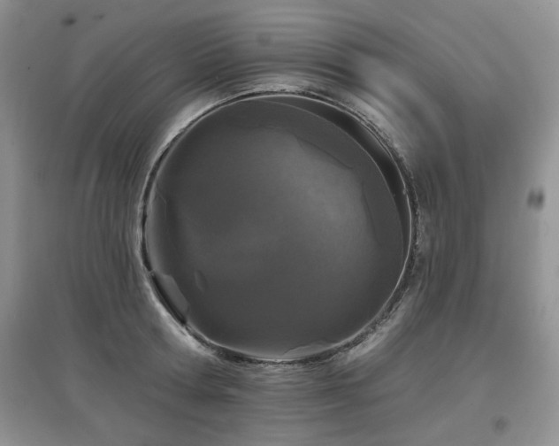 X0000097870802200803141256