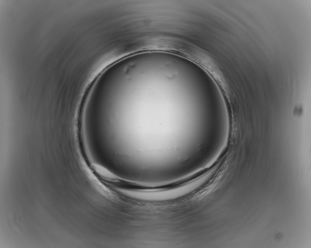 X0000097870803200803141256