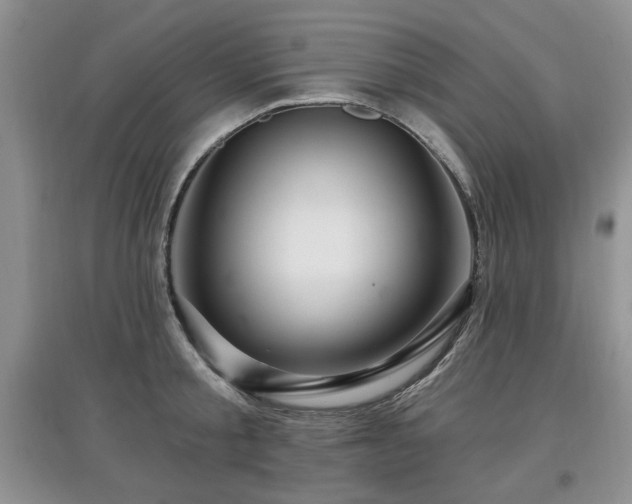X0000097870805200803141256