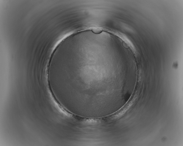 X0000097870806200803141256