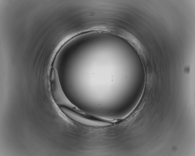 X0000097870808200803141256