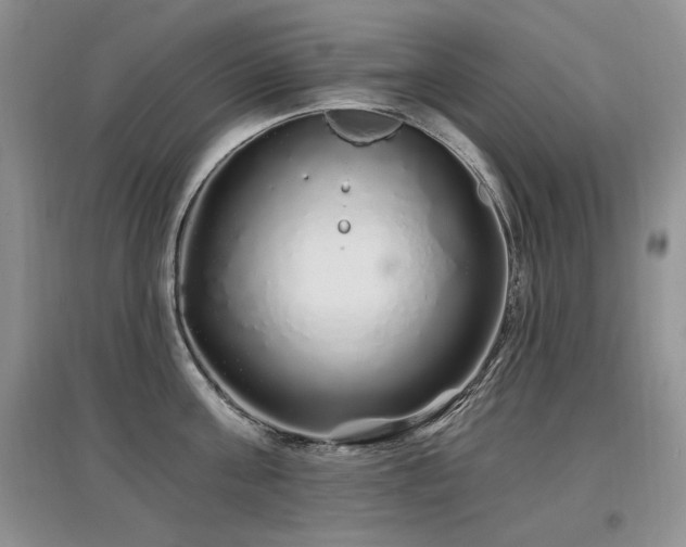 X0000097870811200803141256