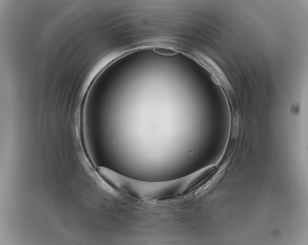 X0000097870812200803141256