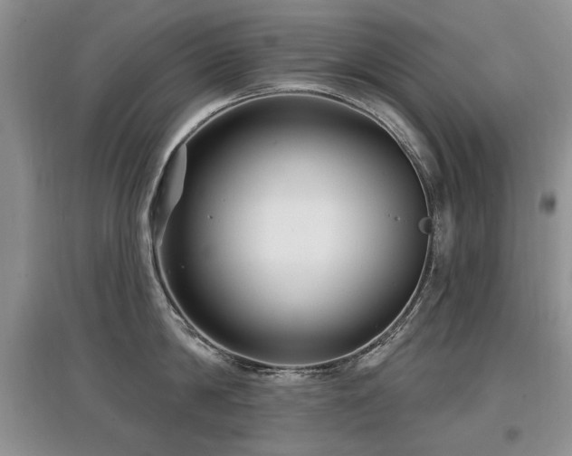 X0000097870814200803141256