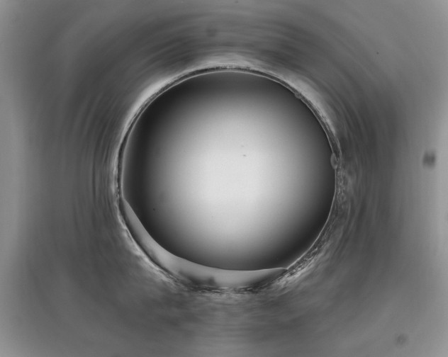 X0000097870815200803141256
