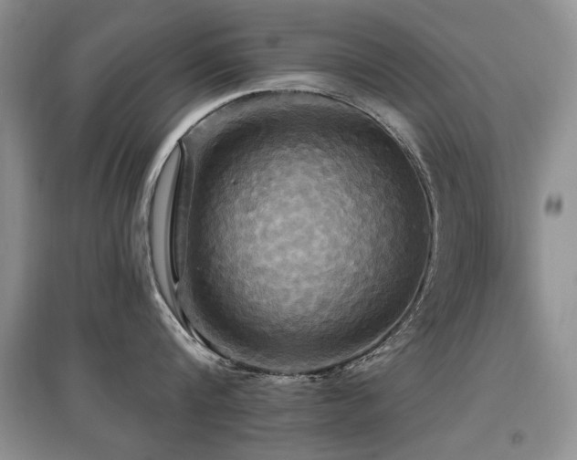 X0000097870816200803141256