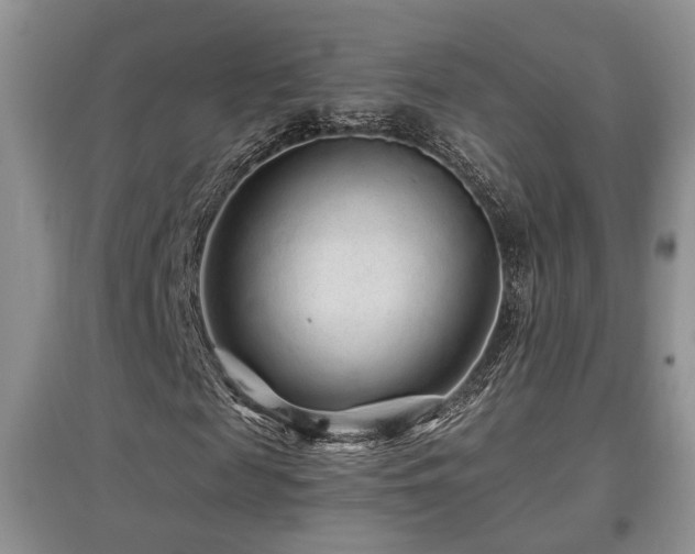 X0000097870817200803141256