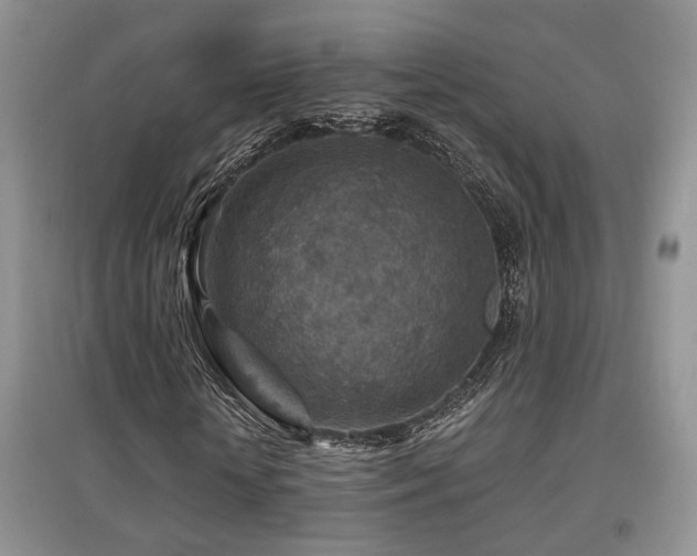 X0000097870818200803141256