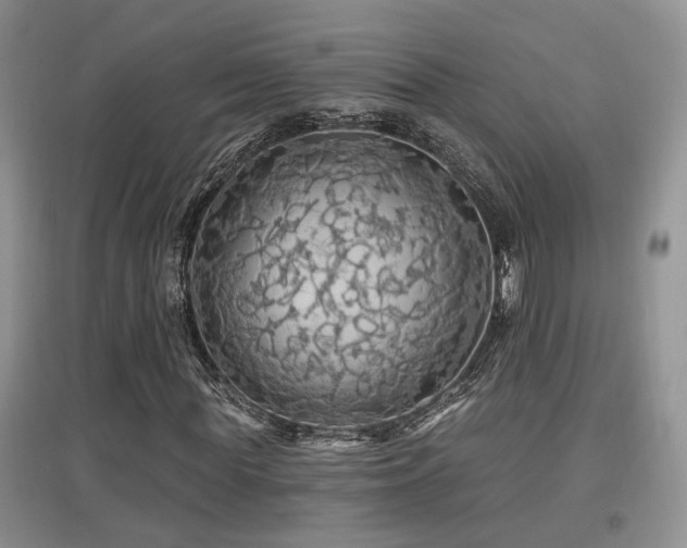 X0000097870819200803141256