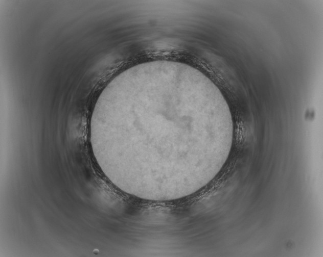 X0000097870820200803141256