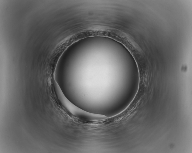 X0000097870821200803141256