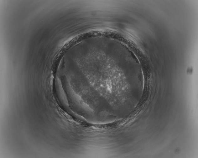 X0000097870822200803141256