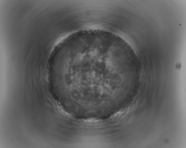 X0000097870823200803141256