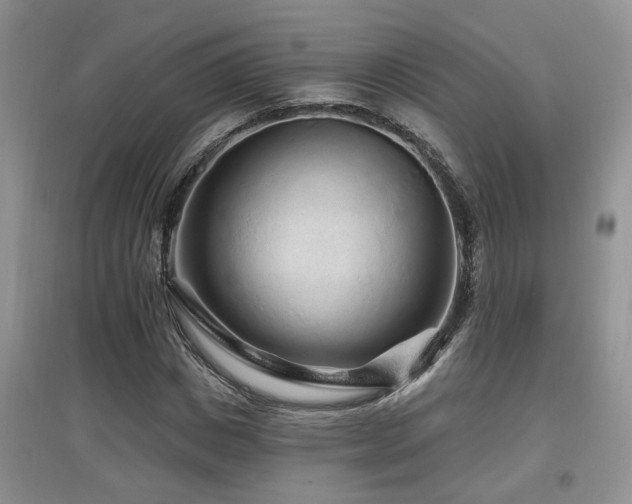 X0000097870825200803141256