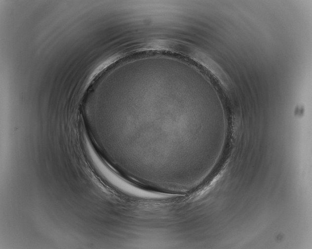 X0000097870826200803141256