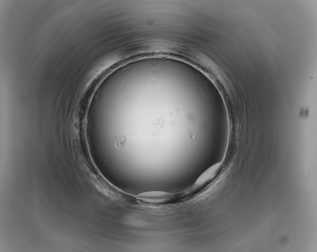 X0000097870827200803141256