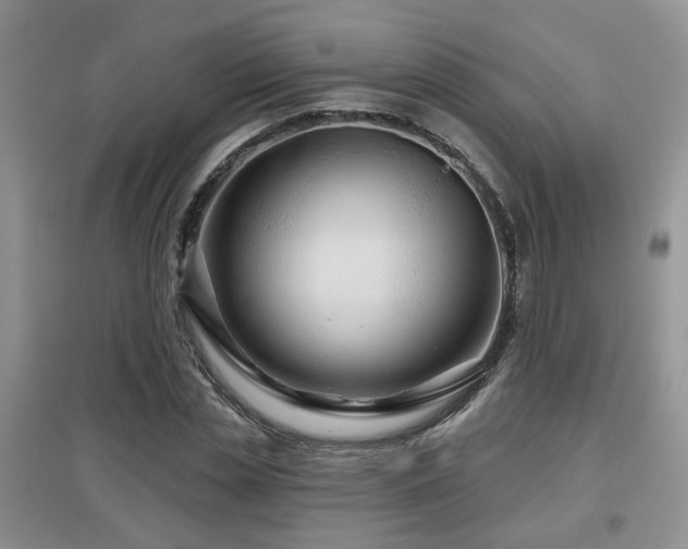 X0000097870829200803141256